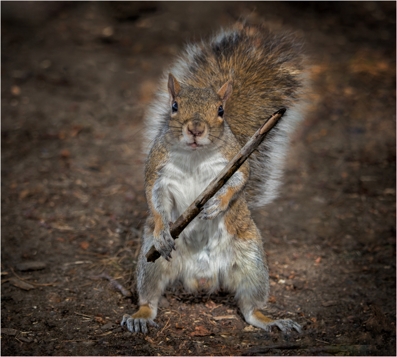 Nobody Touches My Nuts — Score: 17 pts