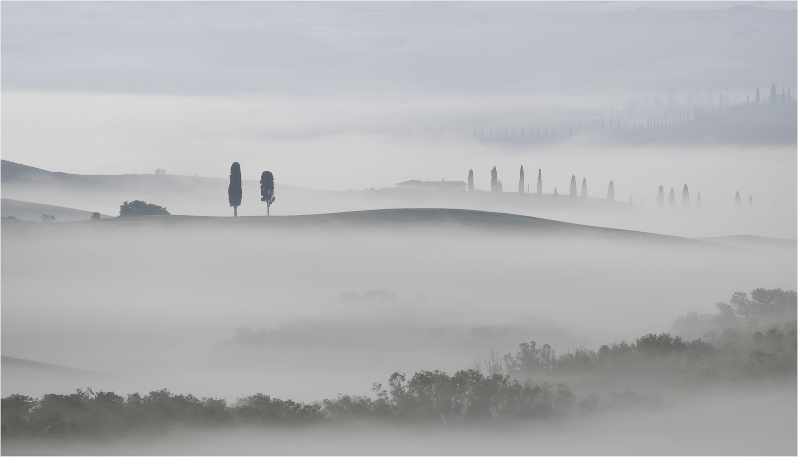 Tuscan Mist — Score: 16 pts