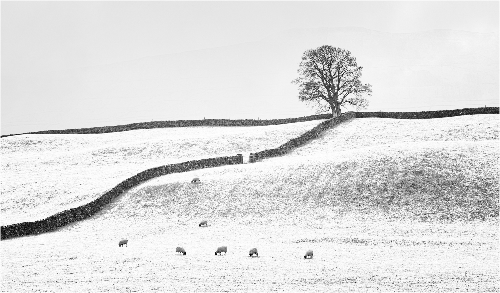 Winter In The Dales