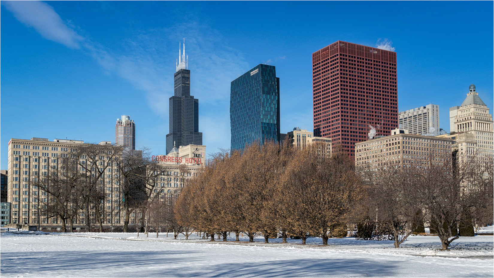 The Willlis Tower From Grant Park