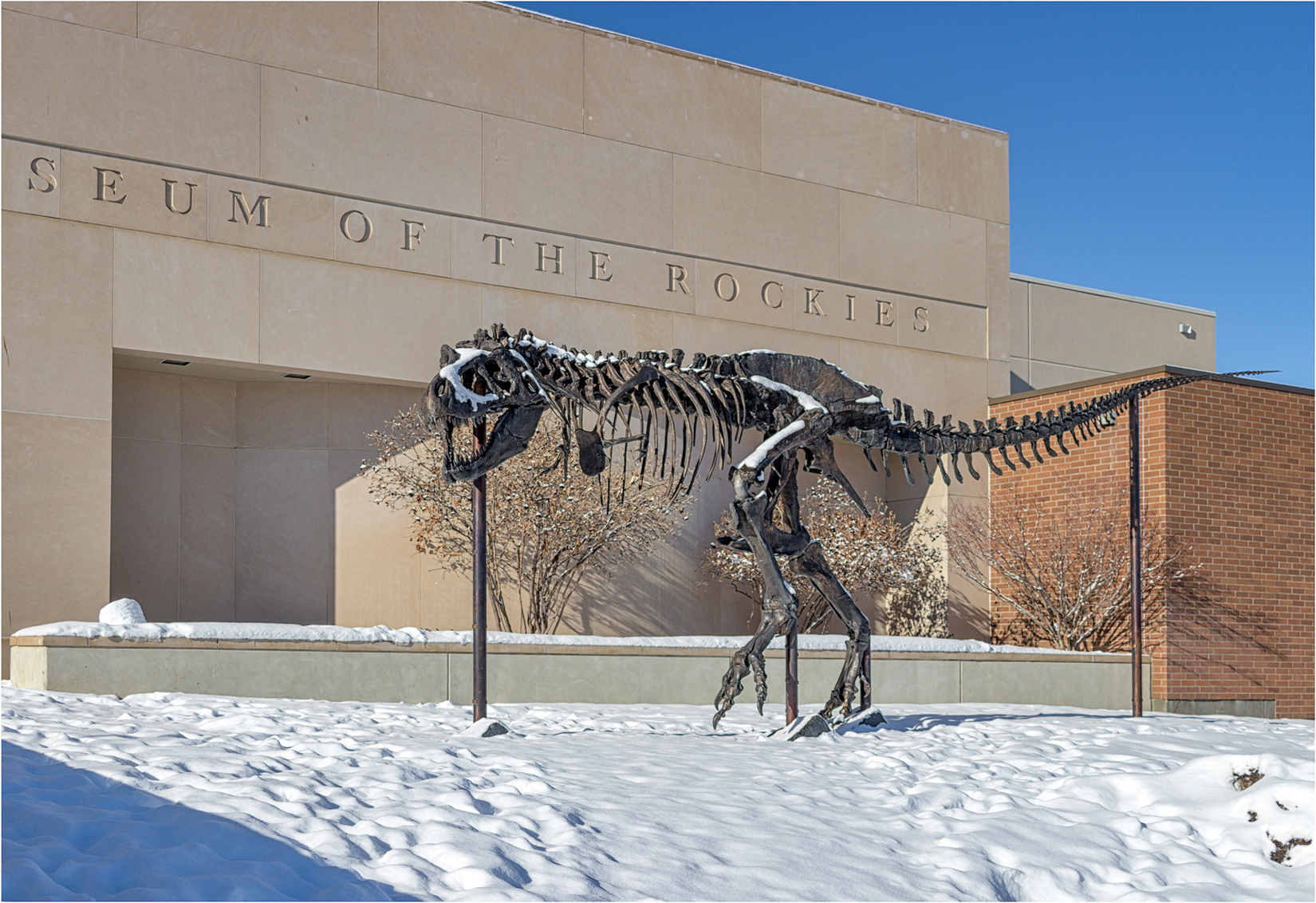 Museum Of The Rockies