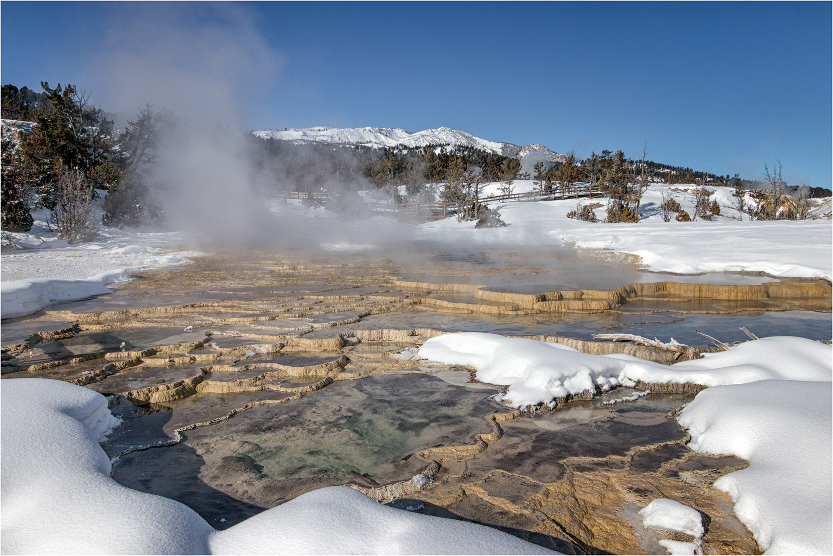Grassy Spring, Mammoth Hot Springs