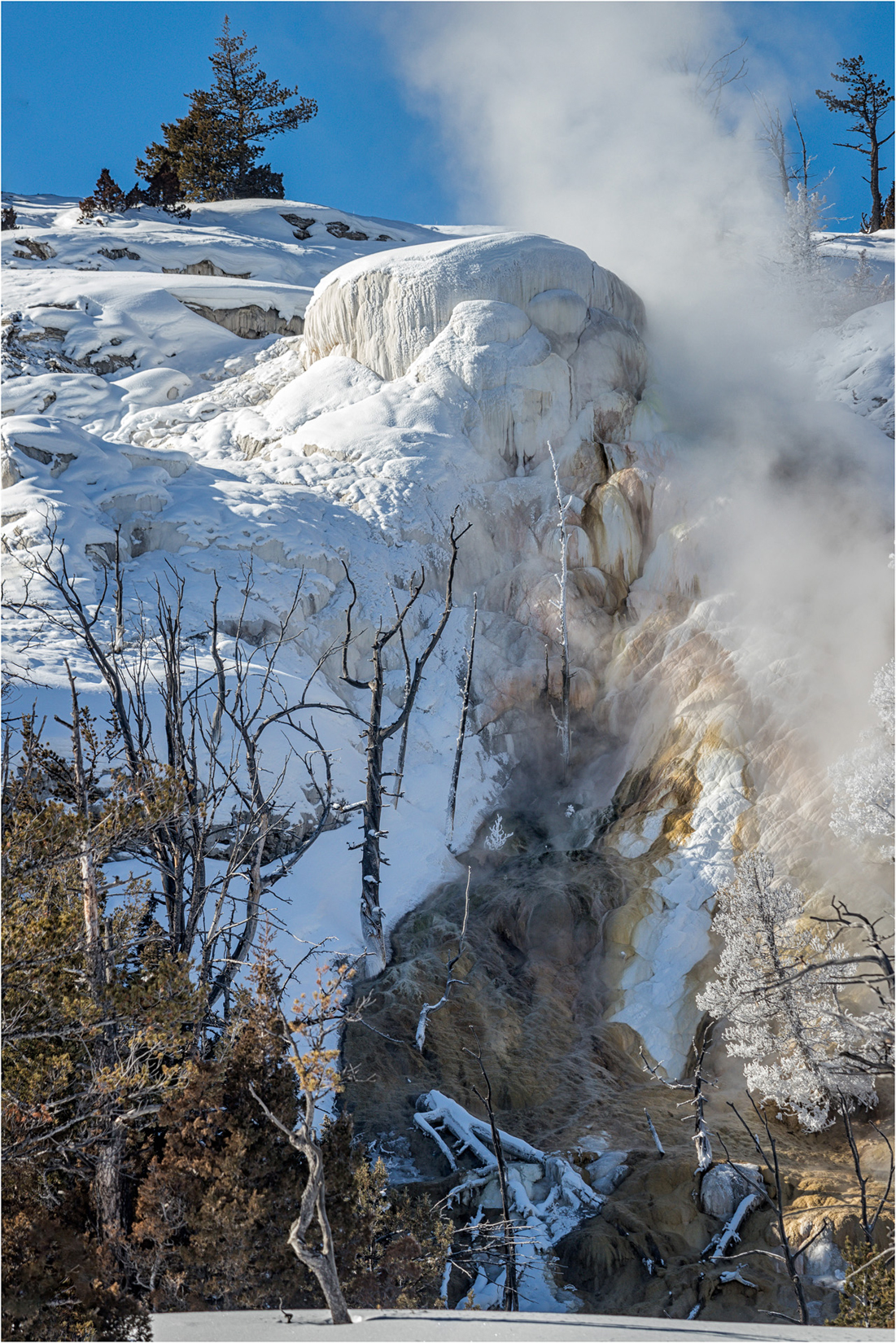 Glen Spring, Mammoth Hot Springs