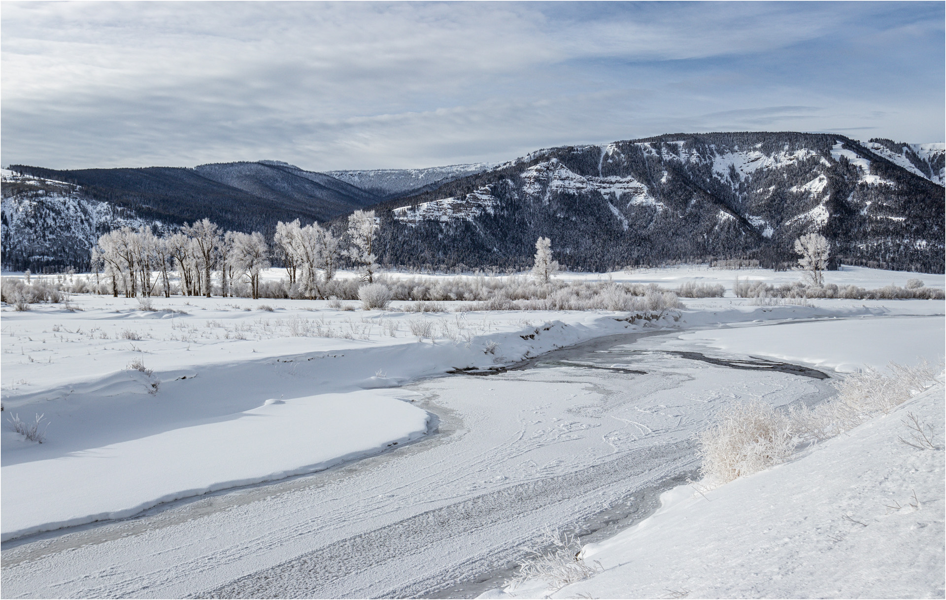 Soda Butte Creek