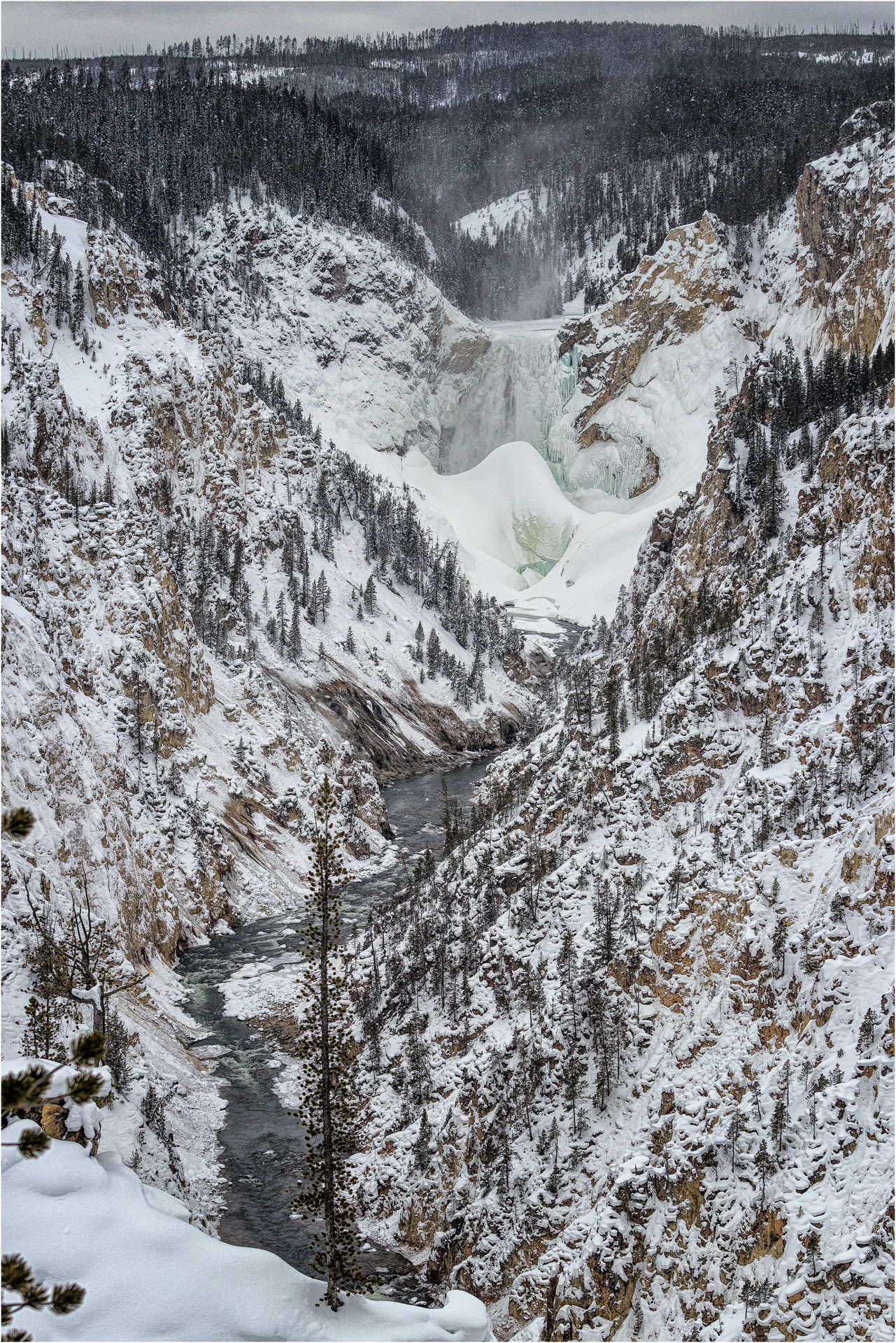 The Lower Falls of the Yellowstone River