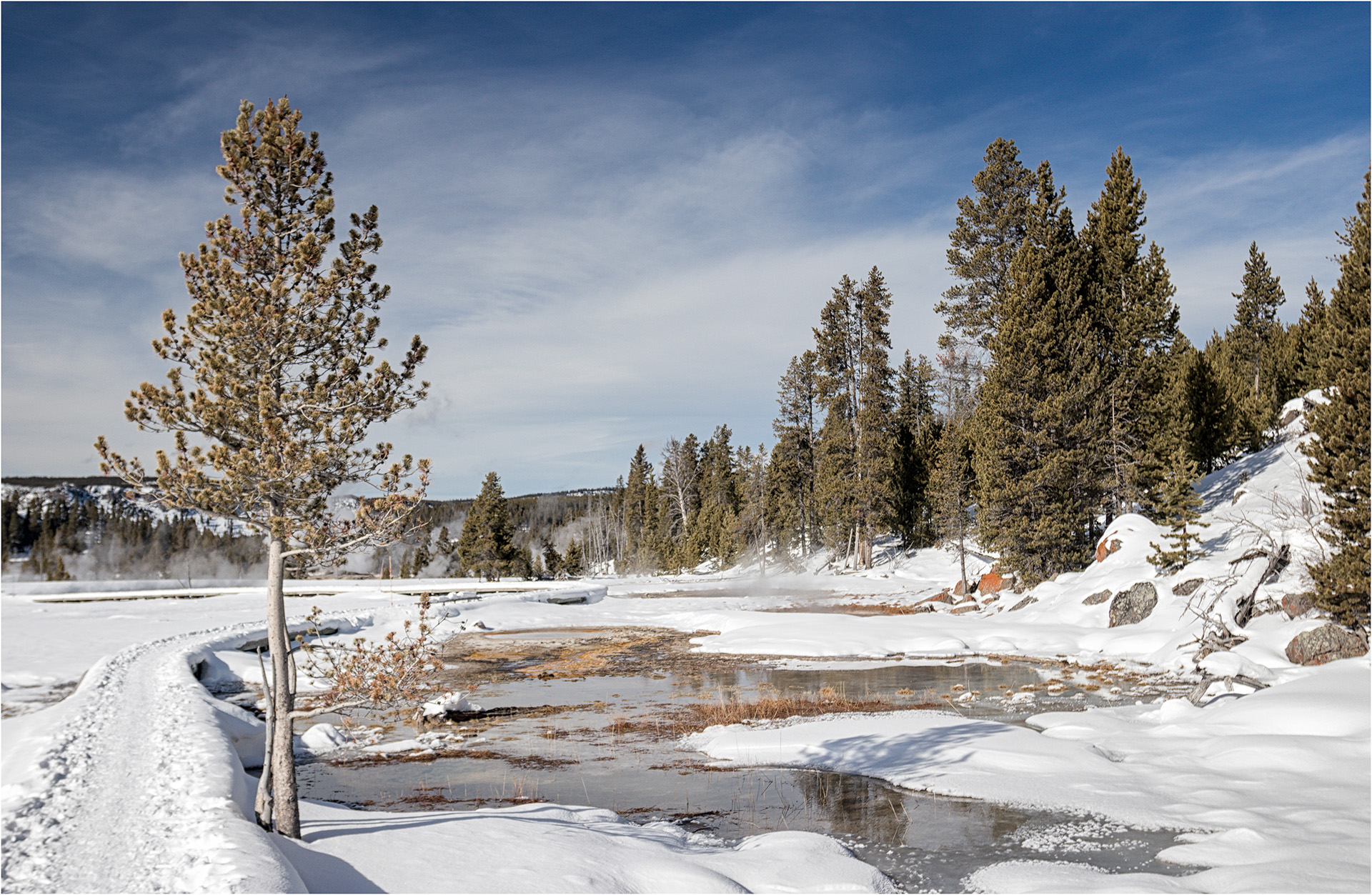 Upper Geyser Basin