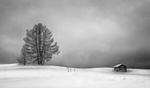 Competition Photography